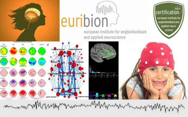 euribion Basis- und Aufbaukurs in Hannover- Termin für 2018 coming soon